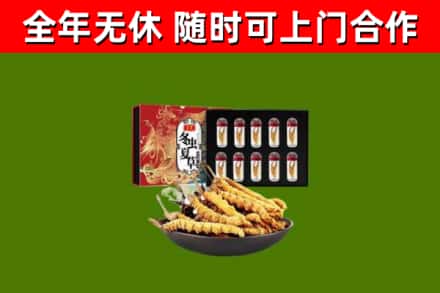 莲花回收冬虫夏草价格